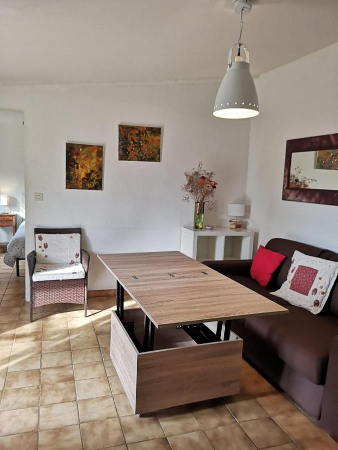 La Petite Seigneurette Villa Villeneuve-lès-Avignon Eksteriør billede